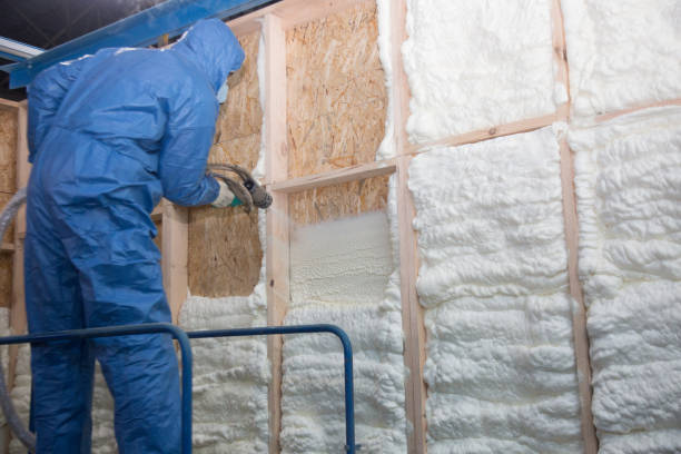 Types of Insulation We Offer in Ogden Dunes, IN